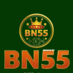 BN55 Game